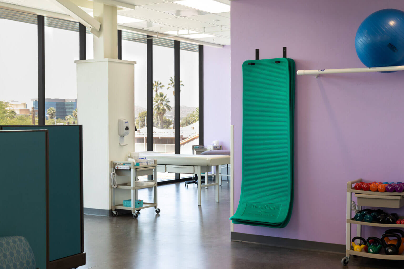 Lizard Rock El Rio University